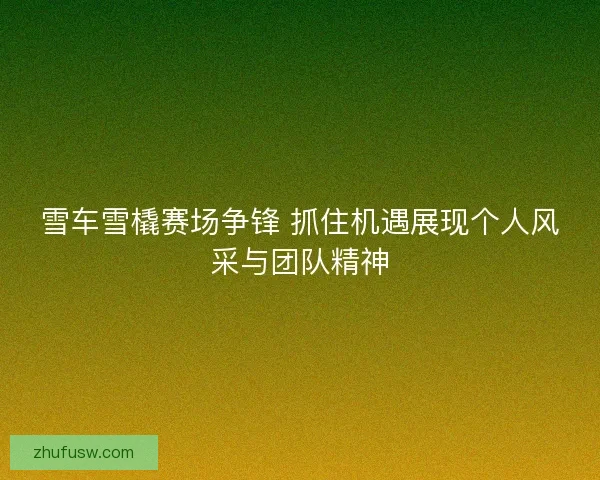 雪车雪橇赛场争锋 抓住机遇展现个人风采与团队精神