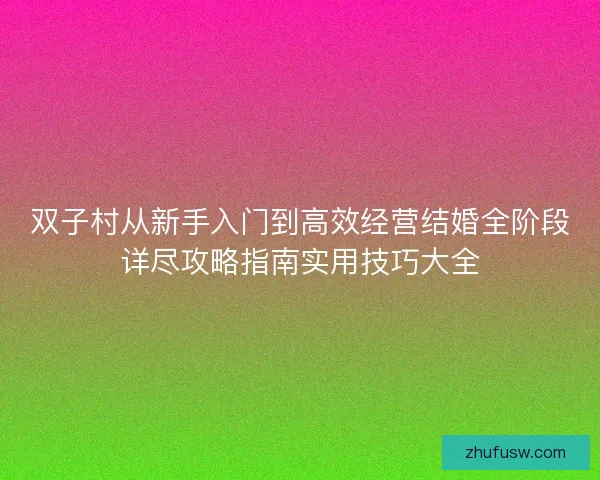双子村从新手入门到高效经营结婚全阶段详尽攻略指南实用技巧大全